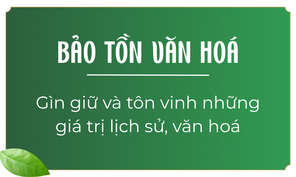 gia-tri-cot-loi-maite2