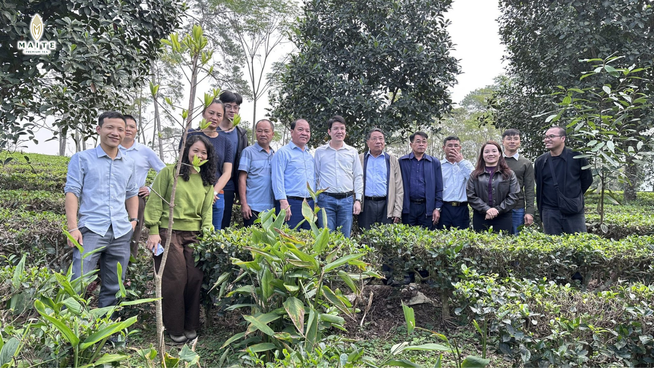 The MAITE delegation, together with partners and experts, experiences the tea-growing region firsthand, strengthening the field-based foundation for connecting tea products with local culture.